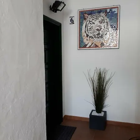 Apartamento Maktub *